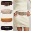 Luxury Design Pin Buckle Waistband Trendy Trouser Dress Belts Suede Leather Wide Belt Gifts