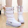 Women Snow Boots Platform Winter Boots Thick Plush Waterproof Non-slip Boots Fashion Women Winter Shoes Warm Fur Botas Mujer