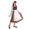 Halloween Themed Party Cinderella Show Costume, Cosplay Maid Dress Brown Dress
