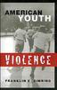 Книга American Youth Violence