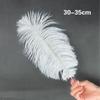 Colorful 30 -35cm Ostrich Feathers Home Decoration Flower Arrangement Wedding Ostrich Feathers 