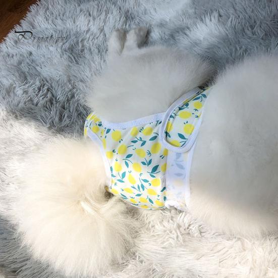 Менструальные штаны для домашних животных, регулируемые гигиенические трусики для собак, удобные герметичные физиологические штаны для домашних животных, товары для домашних животных