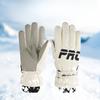Winter Ski Gloves for Men and Women Outdoor Cycling Gloves Plus Velvet Thickened Windproof Waterproof Warm Cold Touch Screen Driving