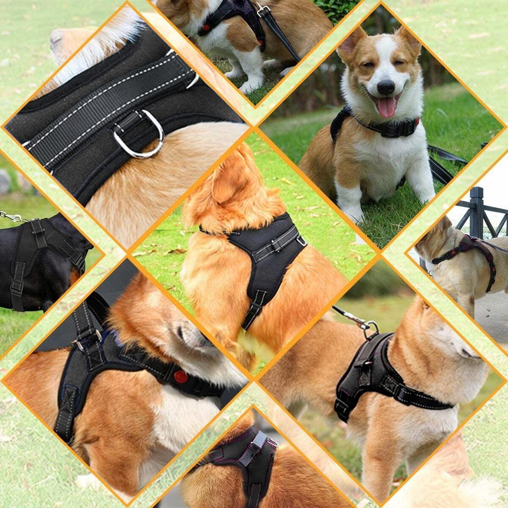 Strong, Pressure-Free Dog Harness, Adjustable, Size