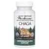 Mushrooms™, Chaga Mushroom, 60 Capsules (0.5G per Capsule)