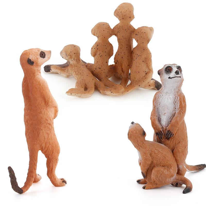 Pvc Mongoose Realistic Animal Model Toy For Kids Learning Gifts Decorations