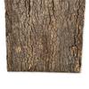 BioVirgin Cork Background Dark 30x30cm cork background for terrariums