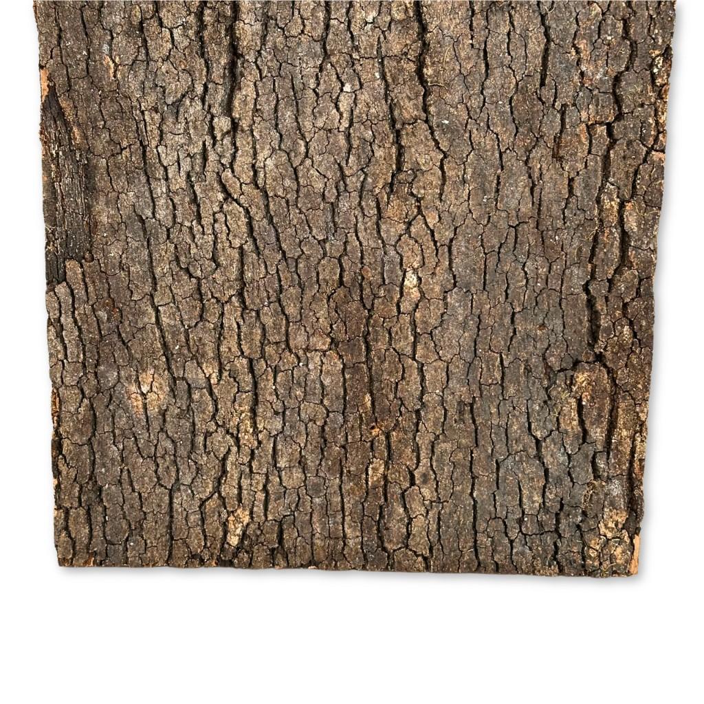 BioVirgin Cork Background Dark 30x20cm cork background for terrariums
