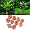 10Pcs Plant Ring Aquarium Fixed Watertank Weightsholder Plants Fixing Tool