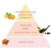 Продукт - Органическое стойкое масло для волос