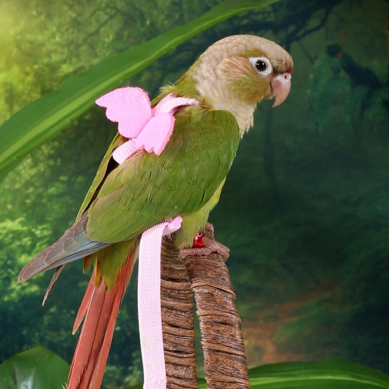 Random Adjustable Parrot Bird Harness Leash Set Anti-Bite Training Harness Parrots Outdoor Flying Rope