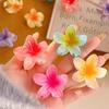 Заколка для волос с цветком Гавайев для девочек, красочные заколки для волос в форме яйца в форме цветка, когти для волос, акриловые заколки для хвоста, аксессуары для волос для свадебной вечеринки