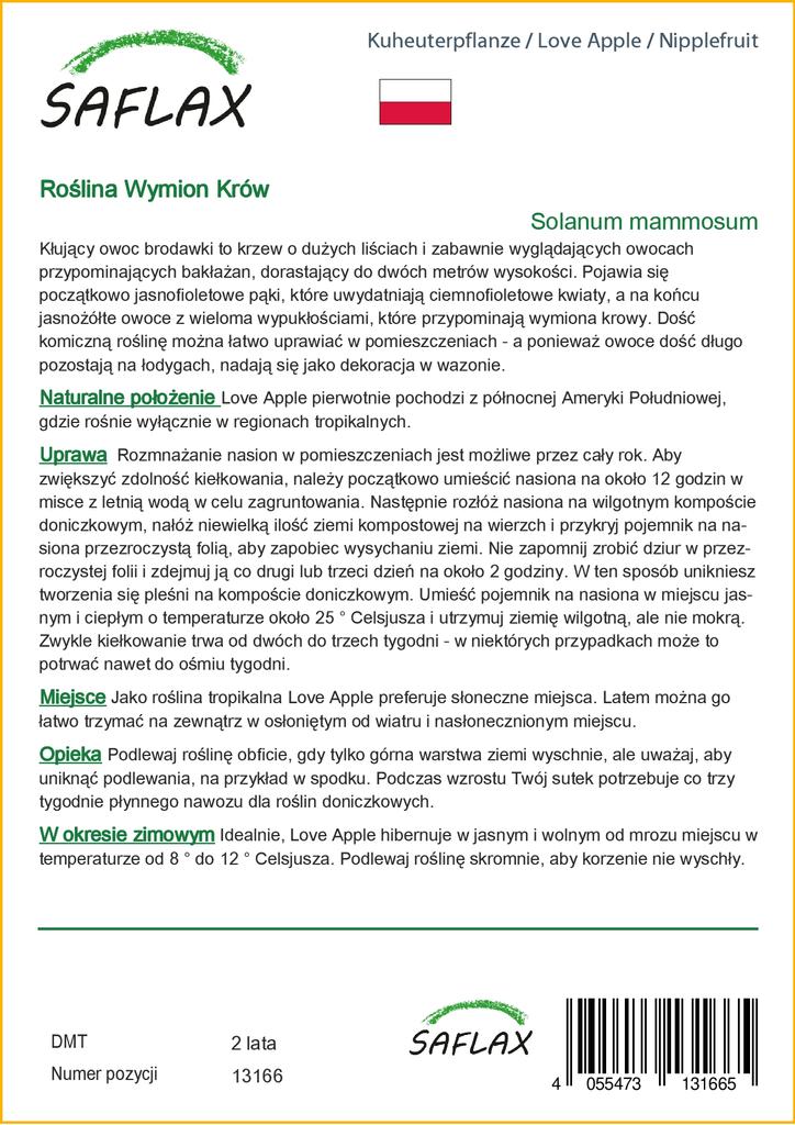 SAFLAX Love Apple / Nipplefruit - 10 семян - Solanum mammosum