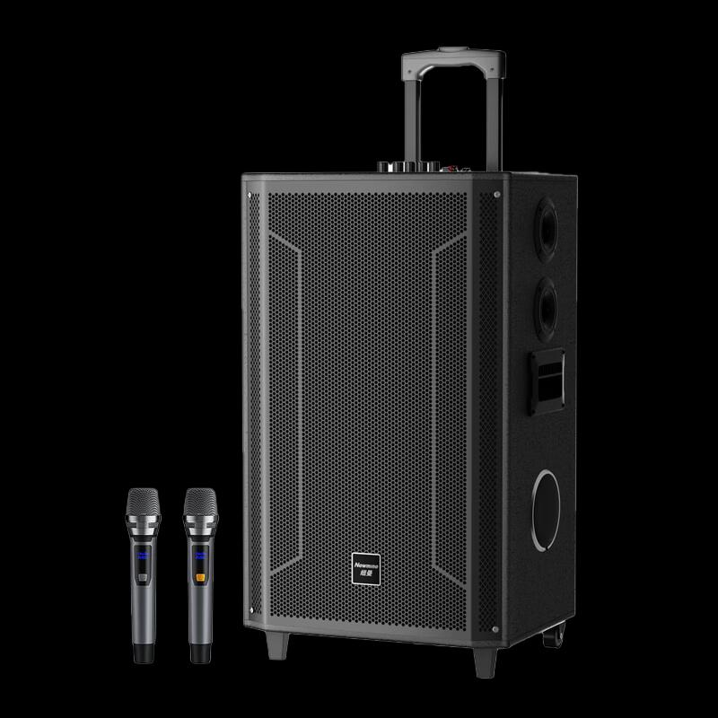 Портативная KTV-колонка на колесиках Newmine N538 15 дюймов, штекер CN (адаптер в комплекте)