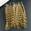Natural Female Pheasant Feathers for Carfts Chicken Handicraft Clothing Accessories Decoration Feather Decor Carnaval