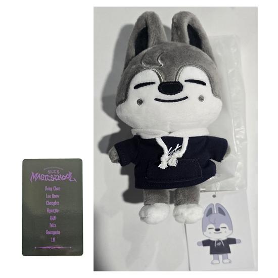 Stray Kids SKZOO Плюшевый МИНИ Версия (Школа Магии) со случайным POB