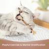 Cat Chew Toy Natural Silver Vine Dental Stick Cats Teeth Cleaning Self-play Toy Safe Catnip Chew Stick for Indoor Cats Playing Promotes Dental Health