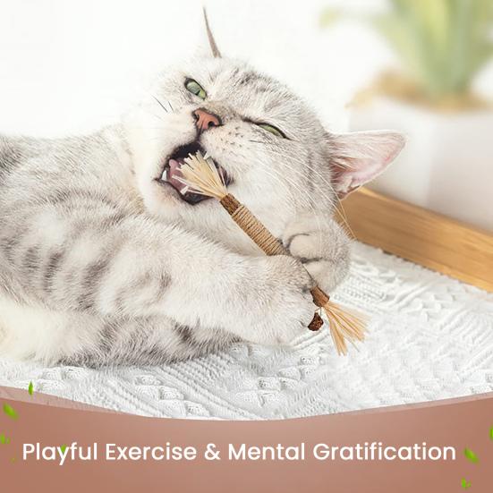 Cat Chew Toy Natural Silver Vine Dental Stick Cats Teeth Cleaning Self-play Toy Safe Catnip Chew Stick for Indoor Cats Playing Promotes Dental Health