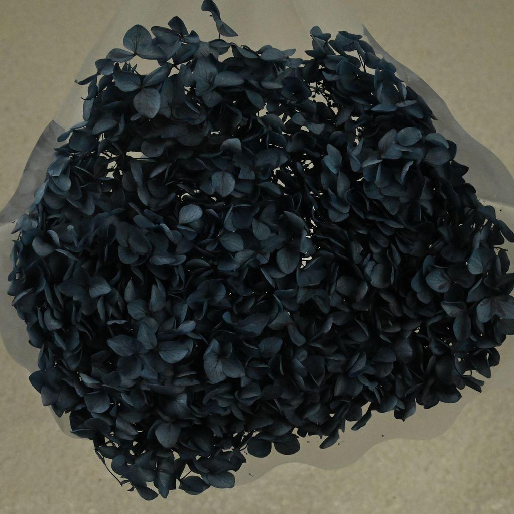 Phantom Flower: Single 20CM Preserved Hydrangea, Handmade Dried Bouquet for Decoration