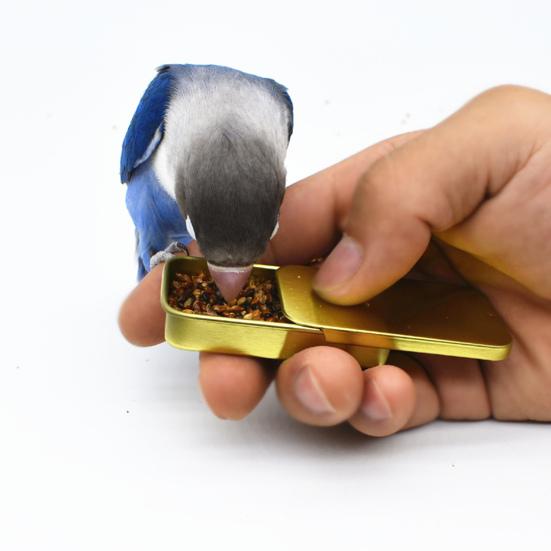 Bird Food Box Portable Small Bite Resistant Exquisite Professional Interact Tinplate Hand-held Parrot Food