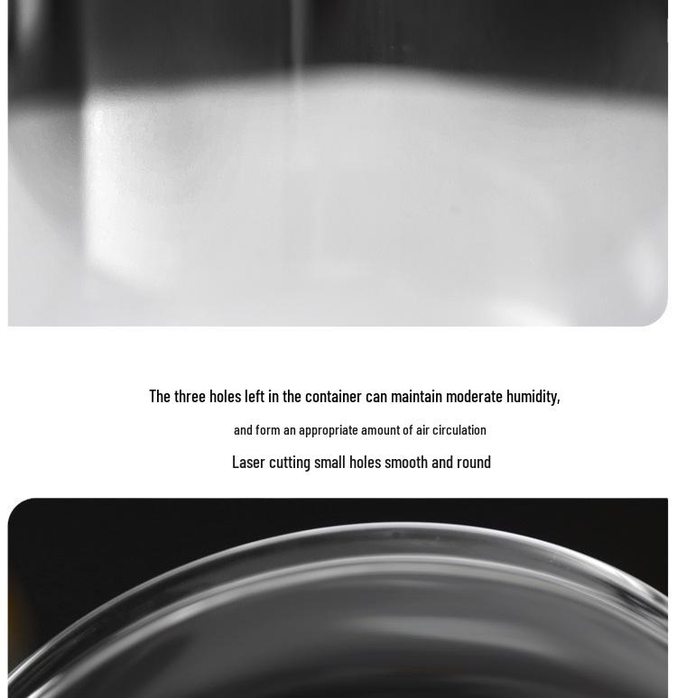 Dew Collection Mini Ecosystem: Moss Terrarium Glass Cover Decor