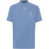 Polo Logo Вышитый Повседневный Рубашка Поло с Коротким Рукавом Мужские Топы Небесно-Голубой 710936508-001