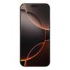 Apple iPhone 16 Pro Max 256 ГБ nanoSIM + eSIM Глобальная версия