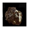 Natural Stone - Pyrite, Baryte, Siderite - 62.61 Carats - Multicolored - Certificate of Authenticity