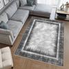 Washable Printed Carpet LNA0476