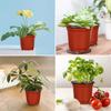 Plastic Plant POTS, Seedling Flower Plant Containers and Seed Starter POTS with Plant Labels