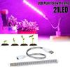 USB 5V LED Grow Light Full Spectrum Plant Lamp with Flexible Hose Indoor Greenhouse Phyto Lamp Flower Seedling Hydroponic Light