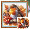 Набор для вышивания крестом Robin Full 11CT с нанесенным рисунком 15,75x15,75 дюйма Стартовые наборы для вышивания иголками для начинающих, взрослых, домашнего декора
