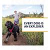 Pxcl Pet Harness, V8 Puppy Supplies, Pet Leash