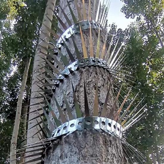 1 комплект шипов против крыс из нержавеющей стали, шипы для отпугивания птиц с хомутами, шипованный барьер от белок для контроля голубей и кошек