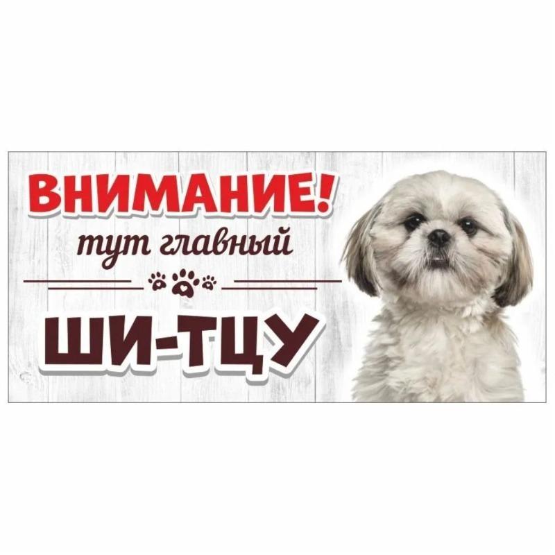 Злой Шпиц Померанский Знак, Металлическая Табличка на Дверь Забора 30x15см