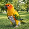 Escape Proof Bird Flight Suits Breathable Bird Flight Clothes Parrot Flying Harness  Pet Walking
