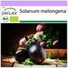 Органический - Баклажан - Black Beauty - 25 семян - Solanum melongena
