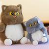 Soft Big Eyes Cat Plush Doll Fluffy Cat Stuff Doll Plush Pillow Cat Plush Toy  Children's Toys