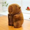 New Internet Celebrity 8-inch Capybara Doll Kapibara Plush Toy Girl Children's Birthday Gift Doll