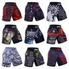 Men's Digital Print Fight Training Shorts for Gym, Jiu-Jitsu, and Sanda