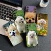 Soft Cover for Samsung Galaxy S22 S21 S20 FE Ultra Plus A35 A36 A55 A37 A33 A34 A57 Coque Phone Case Pomeranian Poodle Dog