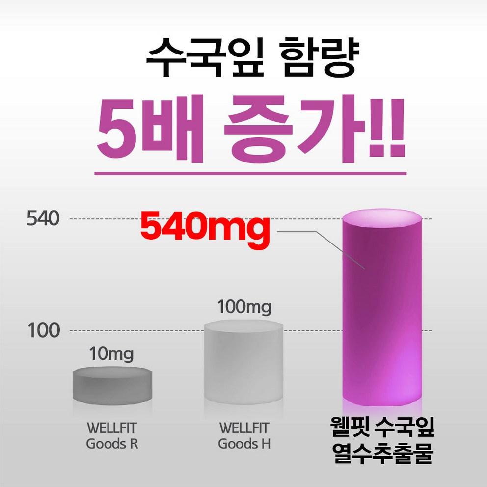 Wellfit Hydrangea Leaf Extract Premium Supplement