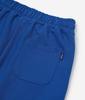 SEMPERRIBER Sprb Wave Logo Short (Blue)