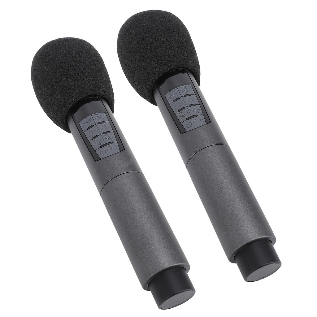 Беспроводной динамический микрофон с приемником 2.4G, 10 каналов, защита от помех, Bluetooth, беспроводной, два