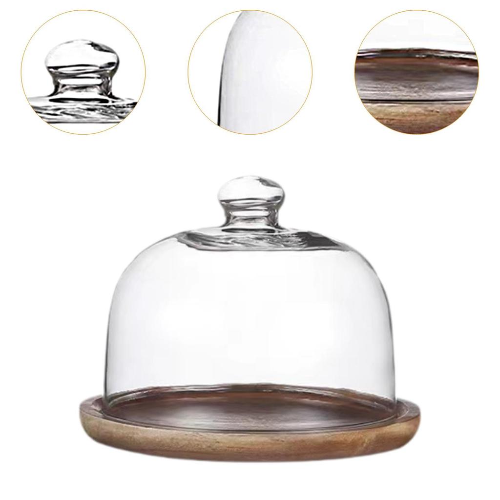 Cake Display Stand with Glass Lid for Muffins and Desserts