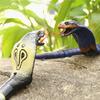 Electric Infrared Remote Control Cobra Tongue Retractable Simulation Rattlesnake Remote Control
