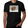 The Ice Age Sucked Tshirt T Shirts For Unisex Slim Fit Tshirt