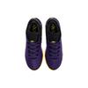 Nike Увеличить Мужские кроссовки LeBron NXXT Gen Lakers Purple Court-Purple Black DR8784-500