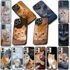 Мягкий чехол для Apple iPhone 17 16 14 15 Pro Max Plus 15+ 16E XR ProMax Air 16+ Чехол для телефона Мяу Глаза Котёнок Кот