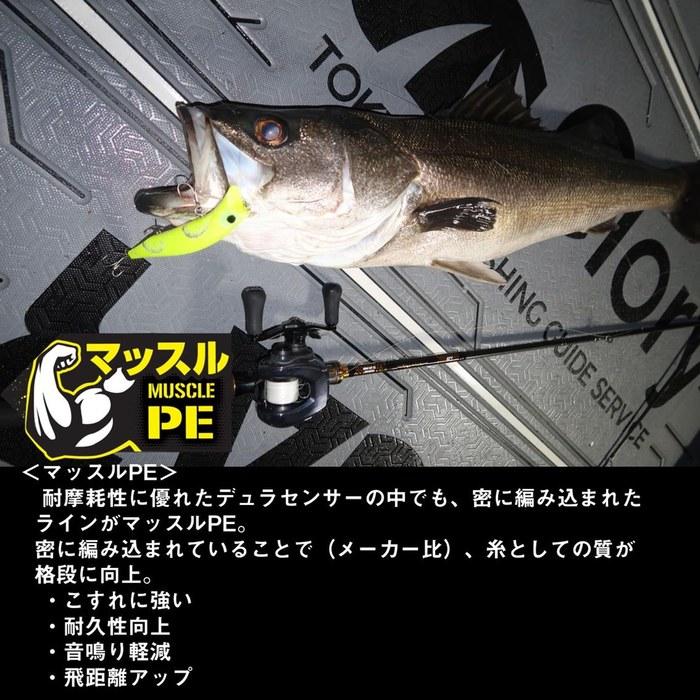 Daiwa Dura-Sensor X12EX+Si3 PE Line 200m #1 (10kg) Super White